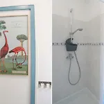 Au Grand Sud Appartement