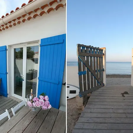 Au Grand Sud Hyeres