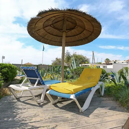 Au Grand Sud * Hyeres